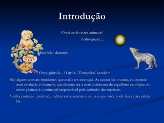 Introdução Onde estão estes animais? Lobo-guará.... Mico-leão-dourado Onça-pintada....Harpia....Tamanduá-bandeira São alguns animais brasileiros que estão em extinção. As causas são muitas, e a espécie mais evoluída ,o homem, que deveria ser a mais defensora do equilíbrio ecológico do nosso planeta é o principal responsável pela extinção das espécies. Venha conosco , conheça melhor estes animais e saiba o que você pode fazer para salvá-los. 