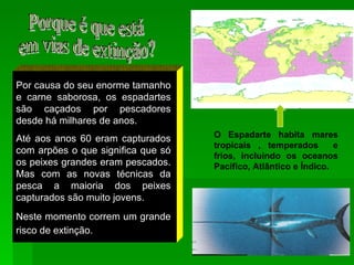 O Espadarte habita mares tropicais , temperados  e frios, incluindo os oceanos Pacífico, Atlântico e Índico. Por causa do seu enorme tamanho e carne saborosa, os espadartes são caçados por pescadores desde há milhares de anos. Até aos anos 60 eram capturados com arpões o que significa que só os peixes grandes eram pescados. Mas com as novas técnicas da pesca a maioria dos peixes capturados são muito jovens. Neste momento correm um grande risco de extinção.   Porque é que está  em vias de extinção? 