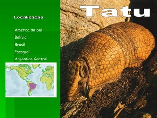 Tatu América do Sul Bolívia Brasil Paraguai Argentina Central Localização 