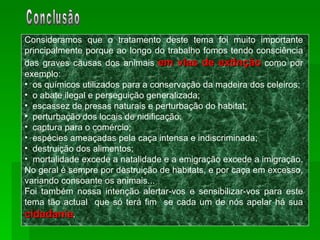 Conclusão Consideramos que o tratamento deste tema foi muito importante principalmente porque ao longo do trabalho fomos tendo consciência das graves causas dos animais  em vias de extinção  como por exemplo:  os químicos utilizados para a conservação da madeira dos celeiros;  o abate ilegal e perseguição generalizada;  escassez de presas naturais e perturbação do habitat;  perturbação dos locais de nidificação;  captura para o comércio;  espécies ameaçadas pela caça intensa e indiscriminada;  destruição dos alimentos;  mortalidade excede a natalidade e a emigração excede a imigração.  No geral é sempre por destruição de habitats, e por caça em excesso, variando consoante os animais... Foi também nossa intenção alertar-vos e sensibilizar-vos para este tema tão actual  que só terá fim  se cada um de nós apelar há sua  cidadania .   