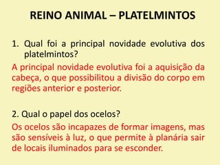 REINO ANIMAL – PLATELMINTOS
1. Qual foi a principal novidade evolutiva dos
platelmintos?
A principal novidade evolutiva foi a aquisição da
cabeça, o que possibilitou a divisão do corpo em
regiões anterior e posterior.
2. Qual o papel dos ocelos?
Os ocelos são incapazes de formar imagens, mas
são sensíveis à luz, o que permite à planária sair
de locais iluminados para se esconder.
 