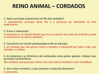 REINO ANIMAL – CORDADOS
1- Qual a principal característica do filo dos cordados?
A característica principal deste filo é a presença da notocorda na fase
embrionária.
2- O que é notocorda?
A notocorda é um bastão flexível que fica no interior do corpo do embrião e pode
se transformar na coluna vertebral.
3- Caracterize um animal protocordado e dê um exemplo.
É um cordado que não possui crânio e mantém a notocorda por toda a vida, por
exemplo, o anfioxo.
4- As lampreias e as feiticeiras são conhecidos como peixes agnatos. Indique suas
principais características.
São cordados que possuem crânio, mas sem coluna vertebral e sem mandíbula.
5- Sem coluna vertebral, o que sustenta o corpo das feiticeiras?
A notocorda.
 