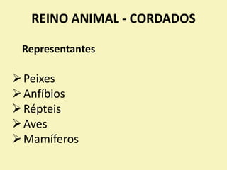 REINO ANIMAL - CORDADOS
Representantes
Peixes
Anfíbios
Répteis
Aves
Mamíferos
 