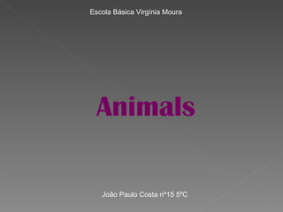 Animals Escola Básica Virgínia Moura João Paulo Costa nº15 5ºC 