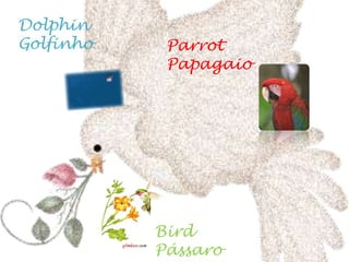 DolphinGolfinho ParrotPapagaioBirdPássaro
