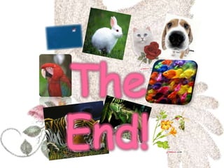TheEnd! 