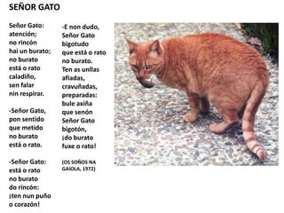 SEÑOR GATO
Señor Gato:
atención;
no rincón
hai un burato;
no burato
está o rato
caladiño,
sen falar
nin respirar.
-Señor Gato,
pon sentido
que metido
no burato
está o rato.
-Señor Gato:
está o rato
no burato
do rincón:
¡ten nun puño
o corazón!
-E non dudo,
Señor Gato
bigotudo
que está o rato
no burato.
Ten as unllas
afiadas,
cravuñadas,
preparadas:
bule axiña
que senón
Señor Gato
bigotón,
¡do burato
fuxe o rato!
(OS SOÑOS NA
GAIOLA, 1972)
 