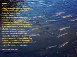 PEIXES
Peixes, fermosas aves que habitades
os xardís subacuáticos, as fragas
de corais, oucas e algas
e tendes o mar
para navegalo libre e totalmente:
¿Lembrades os menceres de abril
e os amorosos solpores de outono
desangrándose en ouros melancólicos?
Quero andar con vós, saber de fluxos,
refluxos, mareas e correntes,
camiñar o voso país marabilloso,
ollar con calma as súas paisaxes
e espetalas no fondo dos meus ollos,
sentir o rumor dos ventos submariños
agarimando e torrando a miña pel.
E deprender o idioma que falades
para poder entender o voso canto.
(A LUZ RESUCITADA, 1984)
 