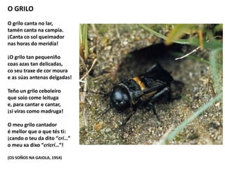 O GRILO
O grilo canta no lar,
tamén canta na campía.
¡Canta co sol queimador
nas horas do meridía!
¡O grilo tan pequeniño
coas azas tan delicadas,
co seu traxe de cor moura
e as súas antenas delgadas!
Teño un grilo ceboleiro
que soio come leituga
e, para cantar e cantar,
¡si viras como madruga!
O meu grilo cantador
é mellor que o que tés ti:
¡cando o teu da dito “cri…”
o meu xa dixo “cricrí…”!
(OS SOÑOS NA GAIOLA, 1954)
 