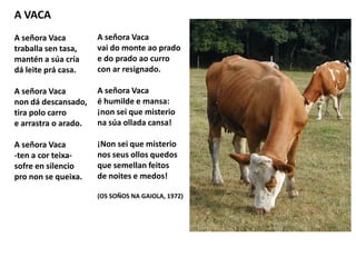 A VACA
A señora Vaca
traballa sen tasa,
mantén a súa cría
dá leite prá casa.
A señora Vaca
non dá descansado,
tira polo carro
e arrastra o arado.
A señora Vaca
-ten a cor teixa-
sofre en silencio
pro non se queixa.
A señora Vaca
vai do monte ao prado
e do prado ao curro
con ar resignado.
A señora Vaca
é humilde e mansa:
¡non sei que misterio
na súa ollada cansa!
¡Non sei que misterio
nos seus ollos quedos
que semellan feitos
de noites e medos!
(OS SOÑOS NA GAIOLA, 1972)
 