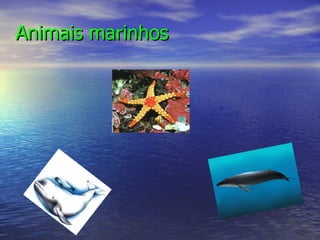 Animais marinhos 
