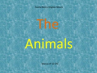 Escola Básica Virgínia Moura The Animals Márcia nº 22 5ºC 