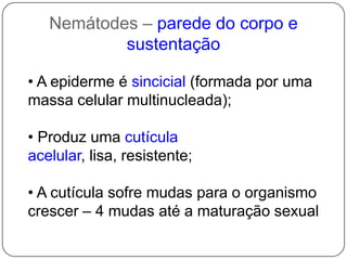 Adenophorea(0,01% dos fitoparasitas)Nematóides parasitos de humanosNematóides parasitos de mamíferosNematóides parasitos de aves   Nematóidesparasitos de peixesNematóides parasitos de insetosNematóidesmicófagosNematóides bacteriófagosNematóides canibais  Nematóides parasitos de plantas( = FITONEMATÓIDES)Grupos tróficosNEMATOLOGIAFitonematóides