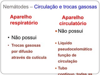 Ecdises: troca da cutícula (crescimento)Nemátodes– parede do corpo e sustentaçãolisa anelação finaanelação moderadaanelação distintaTrichodorusspp.Tylenchusspp.Belonolaimus spp.Mesocriconemaspp.