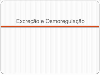 Nemátodes– parede do corpo e sustentaçãoCaracterística exclusiva da classe Secernenteahttp://www.apsnet.org/education/IllustratedGlossary/PhotosA-D/cuticle.htm