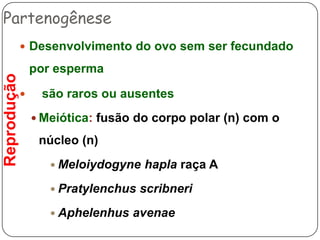 Nemátodes– Alimentação & DigestãoNutrição 	 vida livre  carnívoros (pequenos metazoários até outros nematoda)	  fitófagos  parasitas de animais (vertebrados e invertebrados) bacteriófagos e micetófagos(constituem o maior grupo de organismos que se alimentam de fungos e bactérias, tem grande importância nas cadeias alimentares que tem origem nos decompositores.