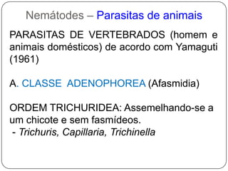 Nemátodes– Alimentação & Digestão