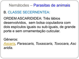 Liquídopseudocelomático função de circulação