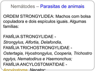 Tubo contínuo, todas as partes do corpo