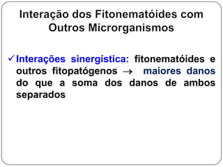 Nemátodes– Sistema nervosoEntérico ou simpáticoAtuam principalmente no processo de alimentaçãoAntagonismo entre o Central e o Entérico.O nematóide não se movimenta enquanto se alimenta
