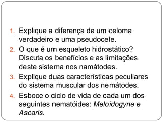 Nemátodes– ReproduçãoVaginaTestículoOvo ejetorÚterosDuto deferenteOvárioOvidutoVesícula seminalPapilaspré-cloacaisEspículas copulatóriasEspermatecaAbertura cloacalPapilaspós-cloacaisCloaca