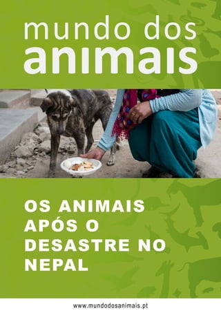 OS ANIMAIS
APÓS O
DESASTRE NO
NEPAL
www.mundodosanimais.pt
 
