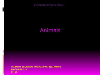 Escola Básica Virgínia Moura Animals Trabalho elaborado por:Nilufar BegijanovaAno/Turma:5ºDNº:17 