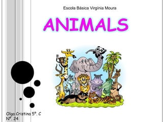  animals Escola Básica Virgínia Moura Olga Cristina 5º. CNº. 24 