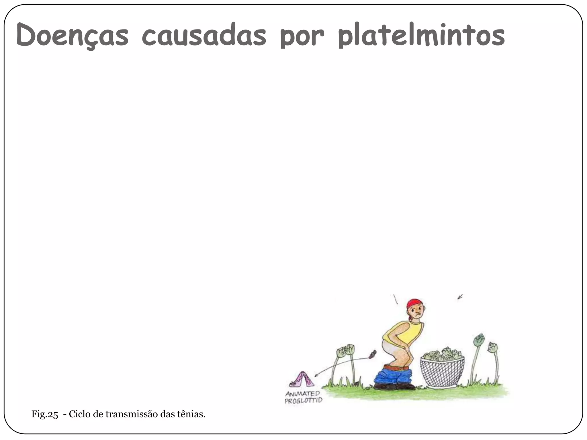 Doenças causadas por platelmintos




 Fig.25 - Ciclo de transmissão das tênias.
 