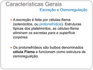 Características Gerais
                   Excreção e Osmoregulação

  A excreção é feita por células-flama
  (solenócitos, ou protonefrídios). Estruturas
  típicas dos platelmintos, as células-flama
  eliminam os excretas para a superfície
  corpórea.

  Os protonefrídeos são bulbos denominados
  célula Flama e funcionam como estrutura de
  osmoregualção.
 