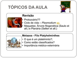 TÓPICOS DA AULA
     Revisão
     • Protozoário??
     • Ciclo de vida – Plasmodium sp.
     • Maquetes: Árvore filogenética (Saulo et
       all.) e Planária (Sellen et all.)

     Metazoa - Filo Platyhelminthes
     • O que é um platelminto?;
     • Como estão classificados?
     • Importância médico-veterinária
 