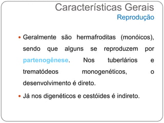 Características Gerais
                                   Reprodução

 Geralmente são hermafroditas (monóicos),

 sendo    que   alguns    se   reproduzem      por
 partenogênese.        Nos      tuberlários     e
 trematódeos           monogenéticos,           o
 desenvolvimento é direto.

 Já nos digenéticos e cestóides é indireto.
 