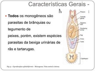 Características Gerais -
                                         Monogenea
 Todos os monogêneos são

 parasitas de brânquias ou
 tegumento de
 peixes, porém, existem espécies
 parasitas da bexiga urinárias de
 rãs e tartarugas.



Fig.15 – Gyrodactylus cylindriformis – Monogenea. Vista ventral e interna
 
