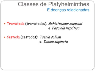 Classes de Platyhelminthes
                            E doenças relacionadas


 Trematoda (trematodas):    Schistosoma mansoni
                             e Fasciola hepática

 Cestoda (cestodas):   Taenia solium
                        e Taenia saginata
 