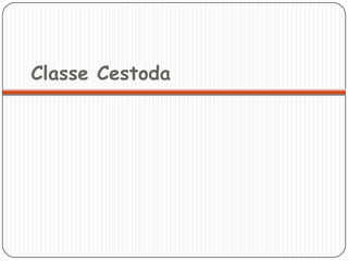 Classe Cestoda
 