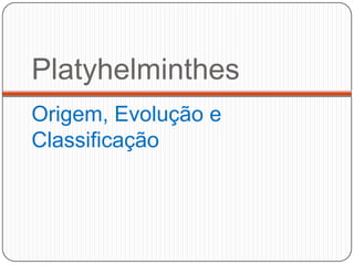 Platyhelminthes
Origem, Evolução e
Classificação
 