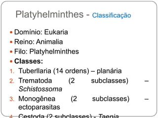 Platyhelminthes - Classificação
 Domínio: Eukaria
 Reino: Animalia
 Filo: Platyhelminthes
 Classes:
1. Tuberllaria (14 ordens) – planária
2. Trematoda         (2   subclasses)    –
   Schistossoma
3. Monogênea         (2    subclasses)   –
   ectoparasitas
 