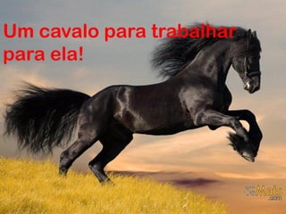 Um cavalo para trabalhar
para ela!

 