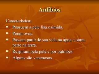 Anfíbios Característica: Possuem a pele lisa e úmida. Põem ovos. Passam parte de sua vida na água e outra parte na terra. Respiram pela pele e por pulmões Alguns são venenosos. 