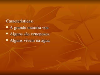Características: A grande maioria voa Alguns são venenosos Alguns vivem na água 