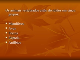 Os animais vertebrados estão divididos em cinco grupos: Mamíferos Aves Peixes Répteis Anfíbios 