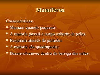 Mamíferos Características: Mamam quando pequeno A maioria possui o corpo coberto de pelos Respiram através de pulmões A maioria são quadrúpedes  Desenvolvem-se dentro da barriga das mães 
