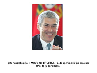 Este horrivel animal (FANTOCHUS  ESTUPIDUS) , pode-se encontrar em qualquer canal de TV portuguesa.  