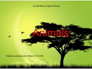 Escola Básica Virgínia Moura Animals Trabalho realizado por: Rúben nº 23 5ºD 