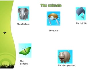 The animalsThedolphinTheelephantTheturtleThebutterflyThehippopotamus
