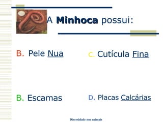 Animais Revestimento Do Corpo | PPT