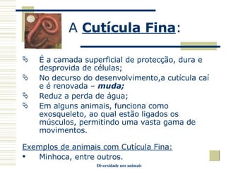 Animais Revestimento Do Corpo | PPT