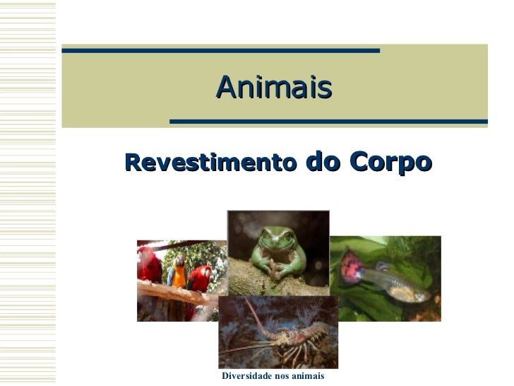 Animais Revestimento   do Corpo 