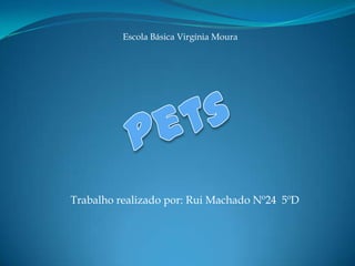 Escola Básica Virgínia Moura Pets Trabalho realizado por: Rui Machado Nº24  5ºD 
