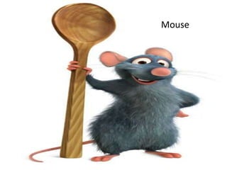 Mouse